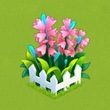 全民精灵姹紫花圃图鉴