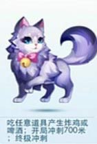 天天酷跑星星的猫