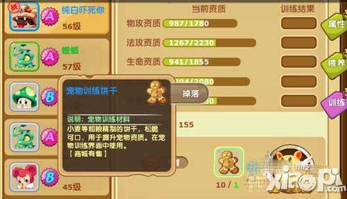 魔力宝贝手游宠物培养
