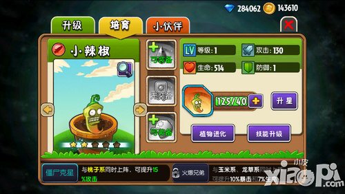 植物大战僵尸全明星小辣椒