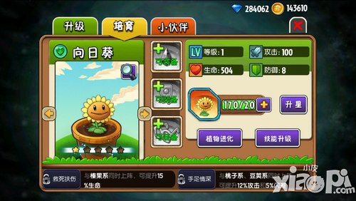 植物大战僵尸全明星向日葵