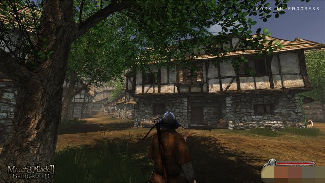 骑马与砍杀2领主