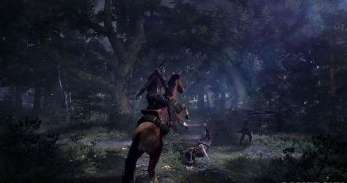 《巫师3：狂猎》最新截图 中土绿色森林