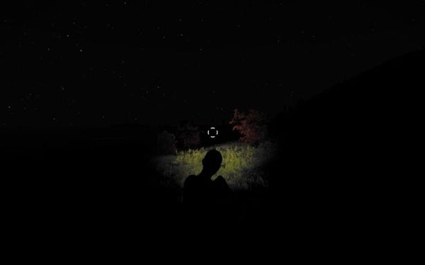 DayZ独立版天太黑看不清路怎么办 天太黑解决办法