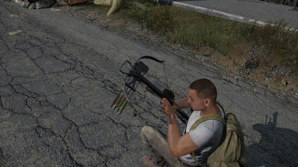 《DayZ独立版》重大更新 新增枪械以及城镇等内容
