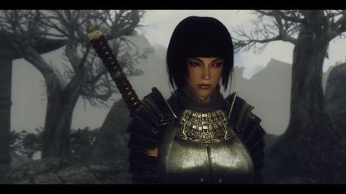 《上古卷轴5：天际》Mod美图欣赏 东瀛女武者魅力十足