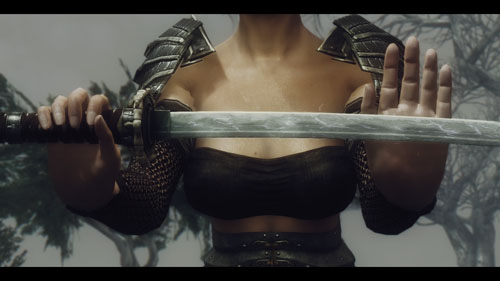 《上古卷轴5：天际》Mod美图欣赏 东瀛女武者魅力十足