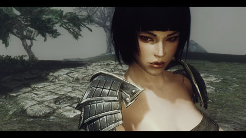 《上古卷轴5：天际》Mod美图欣赏 东瀛女武者魅力十足
