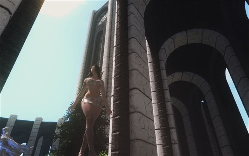 《上古卷轴5：天际》精选mod图欣赏 美女精灵瞩目