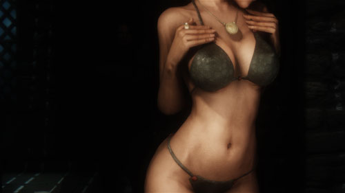 《上古卷轴5：天际》最新mod美图赏 性感小妖精随从