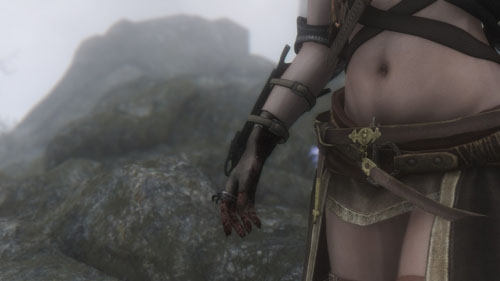 《上古卷轴5：天际》最新mod美图赏 性感小妖精随从