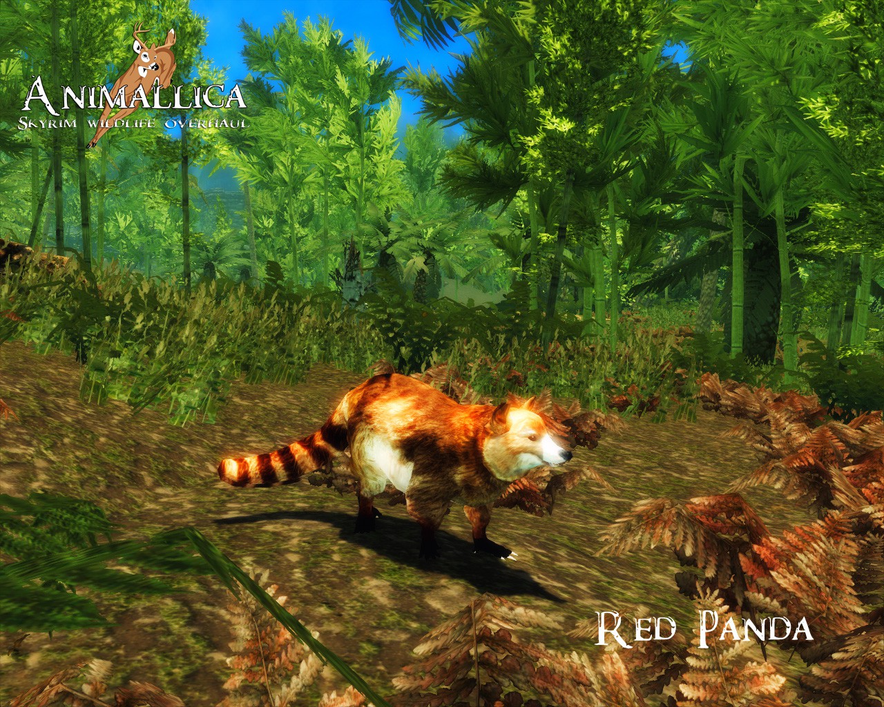 《上古卷轴5：天际》里的动物世界 最新动物mod赏