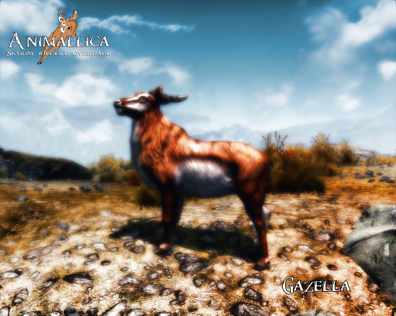《上古卷轴5：天际》里的动物世界 最新动物mod赏