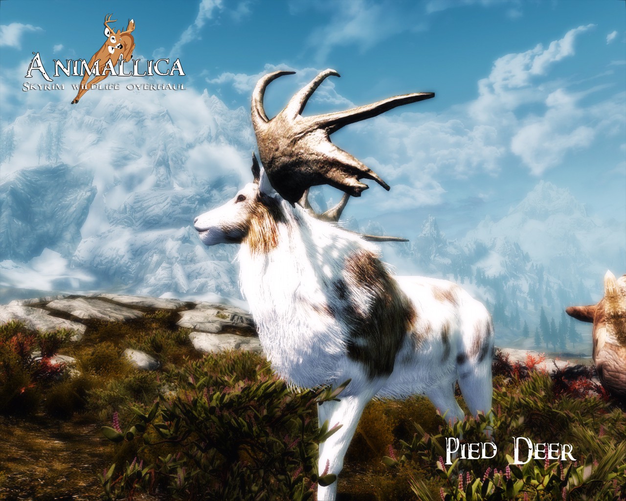 《上古卷轴5：天际》里的动物世界 最新动物mod赏