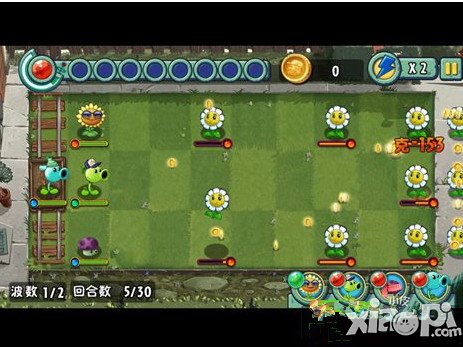 植物大战僵尸全明星金盏花怎么玩 金盏花玩法攻略