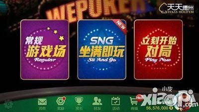 天天德州sng版本
