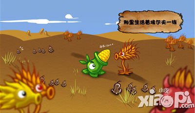 丛林战纪漫画故事首曝 魔幻森林的由来