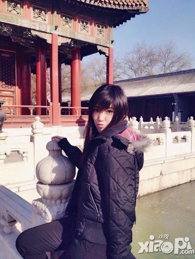 一起闯三国明星团长