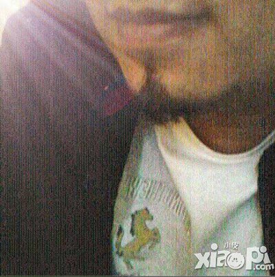 仙战安卓版