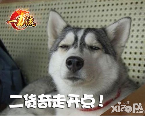 不做逗比 天拓游戏《一刀流》宠物不只会卖萌