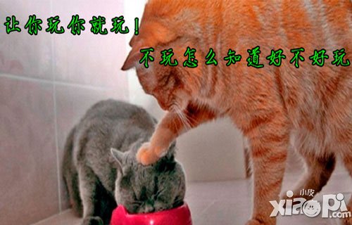 踢你妹