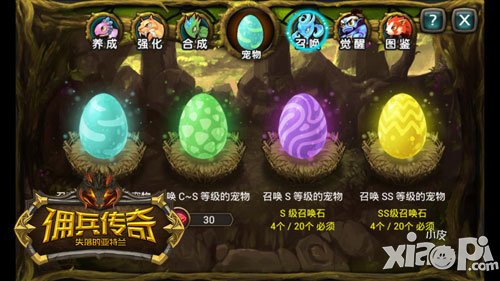 佣兵传奇ss级宠物