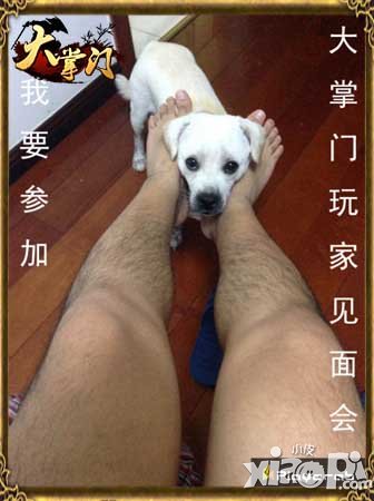 大掌门玩家见面会