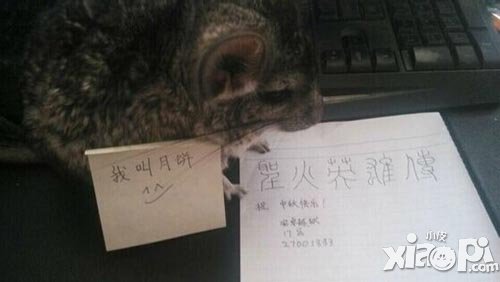 圣火英雄传裂地犀