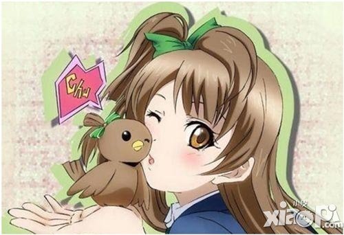love live南小鸟浴衣来袭 剧情大揭秘
