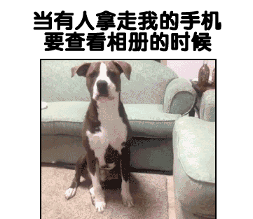 那些神一样的配文搞笑GIF(5)