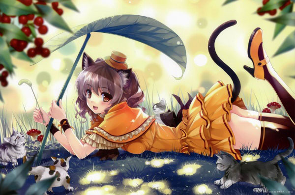 二次元兽耳美少女第六弹(17)
