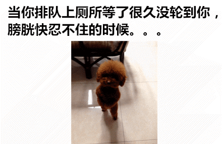 那些神一样的配文搞笑GIF(7)