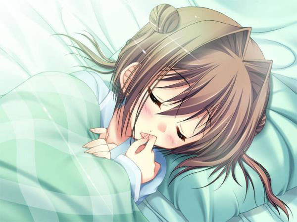二次元熟睡中的美少女美图合集(23)