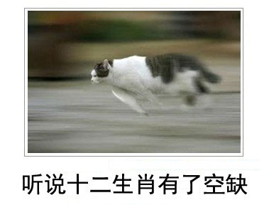微博恶搞日式冷吐槽第三十六弹(3)