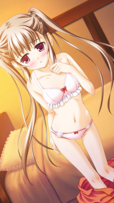 二次元内衣美少女图集(17)