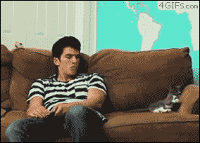 萌宠与二货主人神同步搞笑GIF(5)