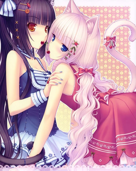 二次元兽耳美少女第六弹(6)