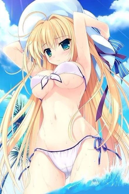 二次元泳装美少女美图赏析(7)