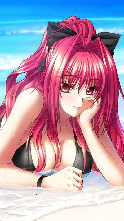 二次元巨乳美少女美图赏(6)