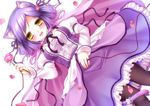 二次元兽耳美少女第七弹(17)
