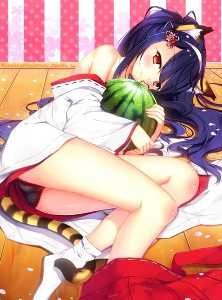 二次元兽耳美少女第六弹(13)