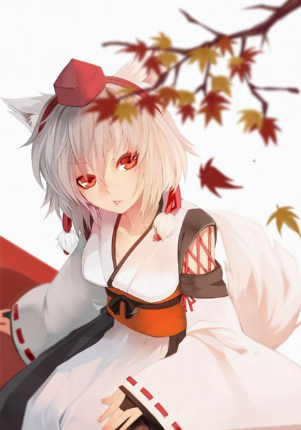 二次元兽耳美少女第六弹(16)