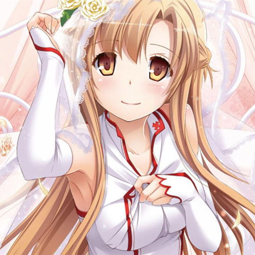 二次元巨乳美少女美图赏(19)