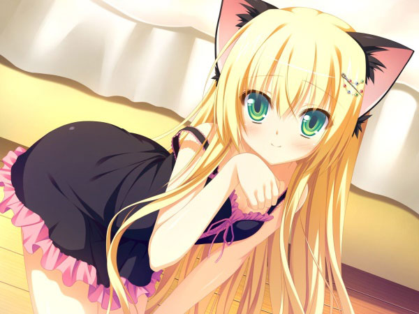 二次元兽耳美少女第六弹(12)
