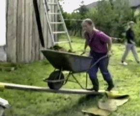 低智商生物搞笑GIF(3)
