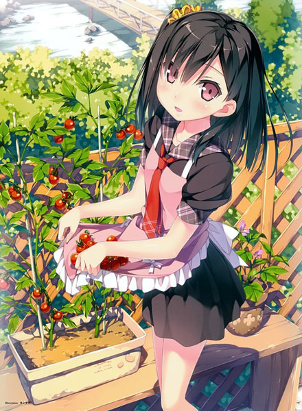 二次元刘海美少女美图集(15)