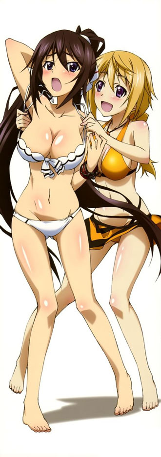 二次元内衣美少女图集(20)