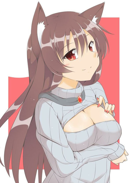 二次元高领开胸毛衣美少女美图二(13)