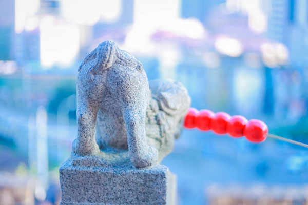 清纯萌妹南小鸟旗袍COS(6)