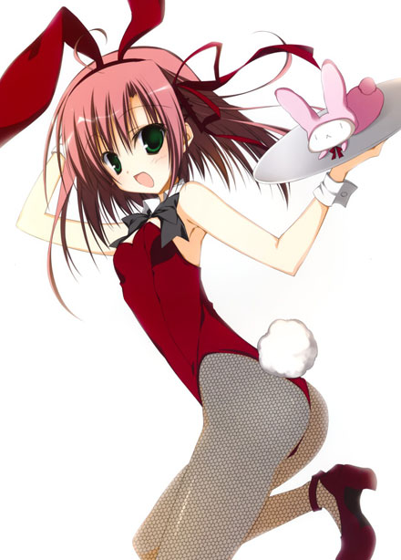 二次元兔女郎美少女美图赏一(9)